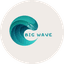 Школа плавания Big Wave school