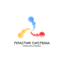 Пластик Система