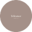 Telesnoe
