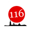 ГБОУ Гимназия № 116 Приморского Района Санкт-Петербурга