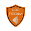 Сэс-профи