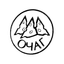 Очаг 678