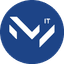 Мегаполис ИТ