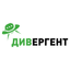 Дивергент