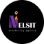 Nelsit