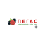 Пегас