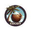 Coco IT