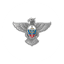 Спецсвязь России