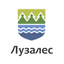 Лузалес